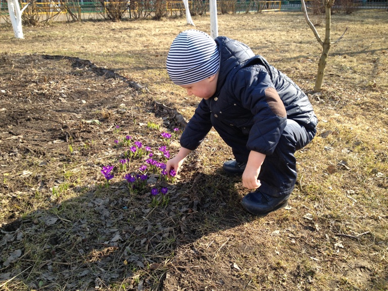 А за окном весна в разгаре!!!