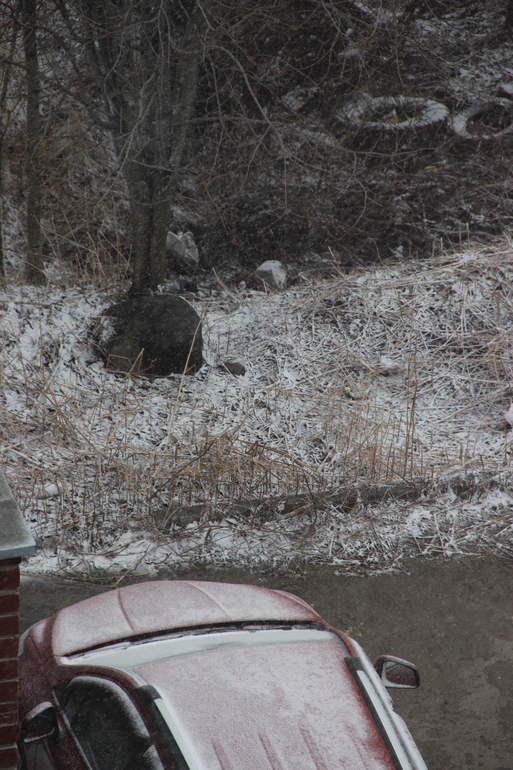 Зима ? ВТФ ?!