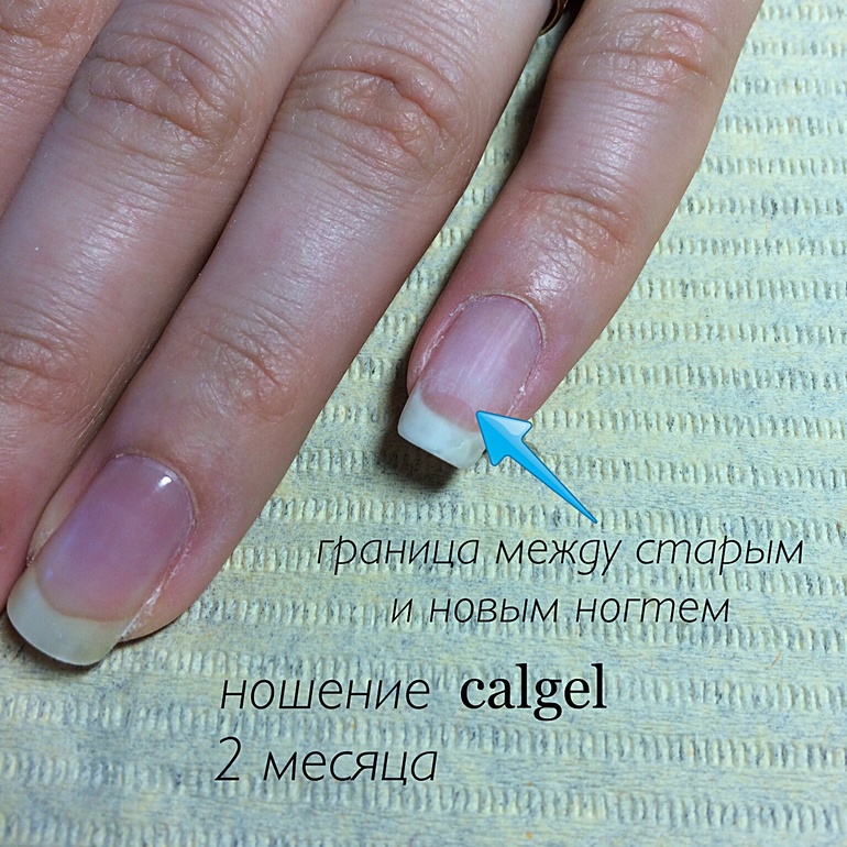 Calgel маникюр что это Calgel маникюр что это