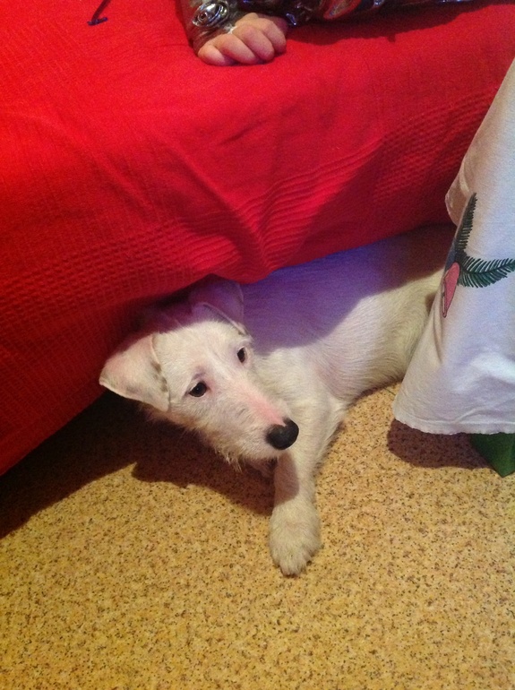 Наш Новый год 2014!!!!