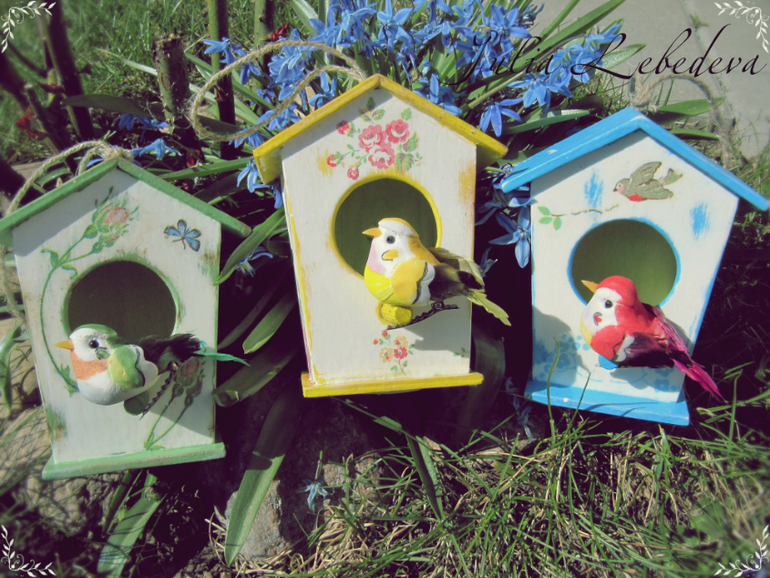 Ко мне прилетели экзотические птички :)