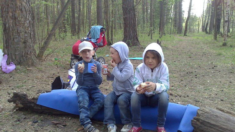 Лес и шашлычок