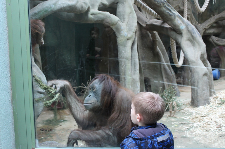 8 марта в ЗОО!