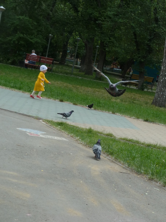 Желтые летние зарисовочки))