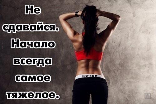 День 1. Знакомство