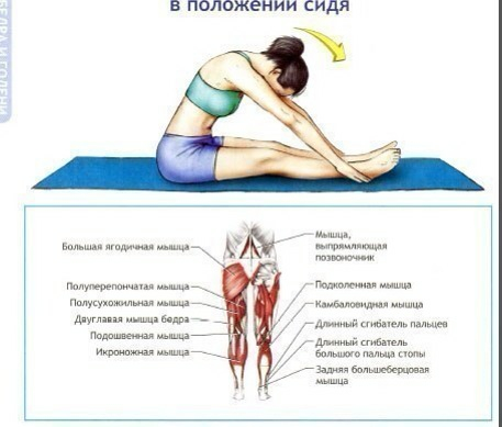 День 6. Физические нагрузки, ч. 2