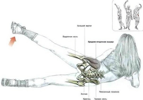 День 6. Физические нагрузки, ч. 2