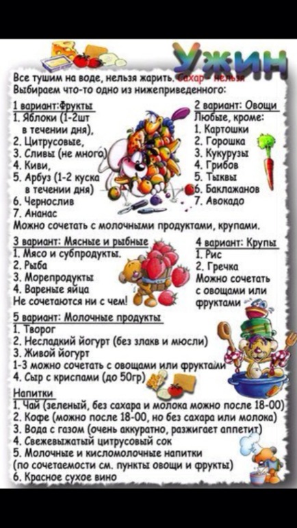 День 2. Диеты и системы питания