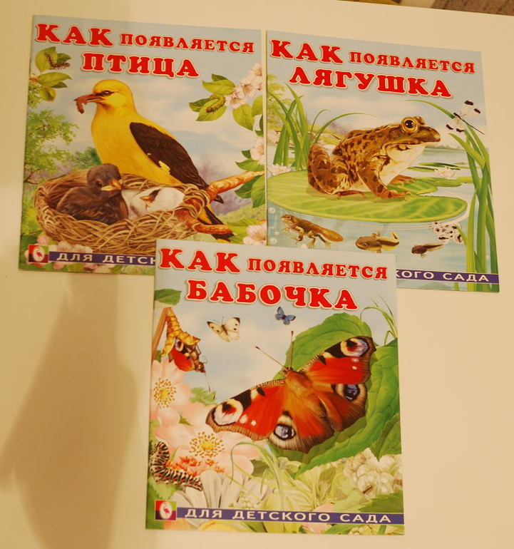 Наши рабочие тетради и обучающие пособия