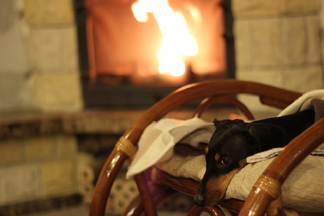 Наша любимка!