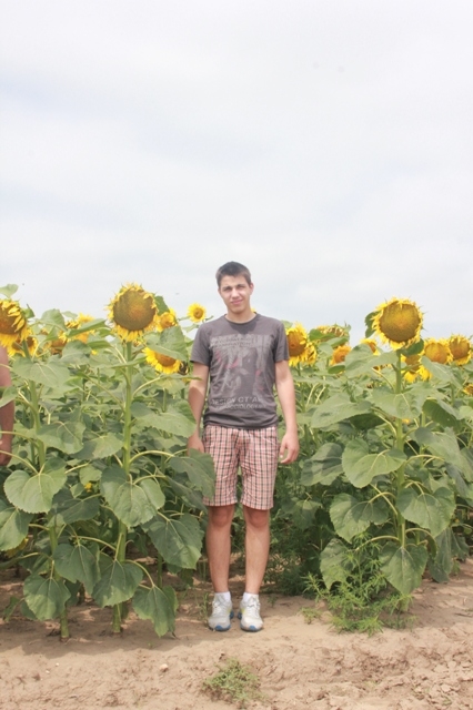 Помогите, что не так, нет изюминки:-))))