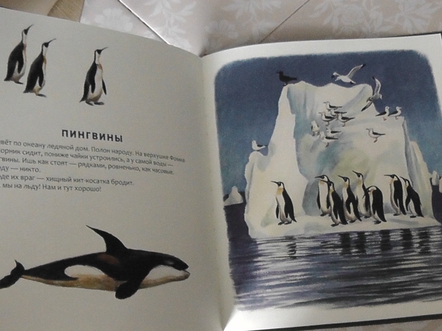 полки уплотняются