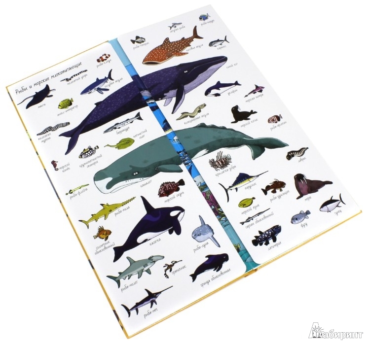 а теперь про Тёмку и его успехи