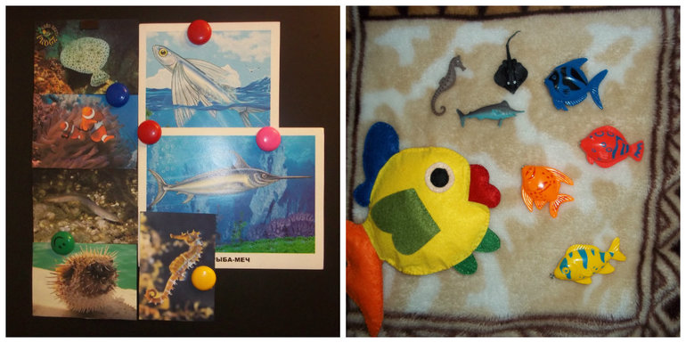 ТН Море День 2 РЫБЫ