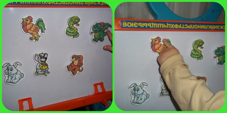 ТН Цвета (красный, зелёный)