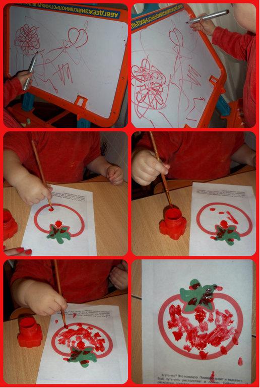 ТН Цвета (красный, зелёный)