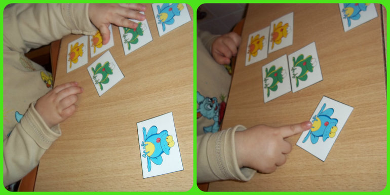 ТН Цвета (красный, зелёный)