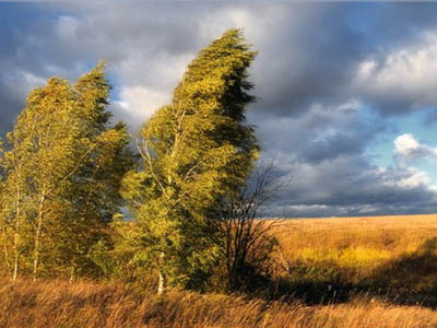 ТН Погодные условия День 5 - Ветер
