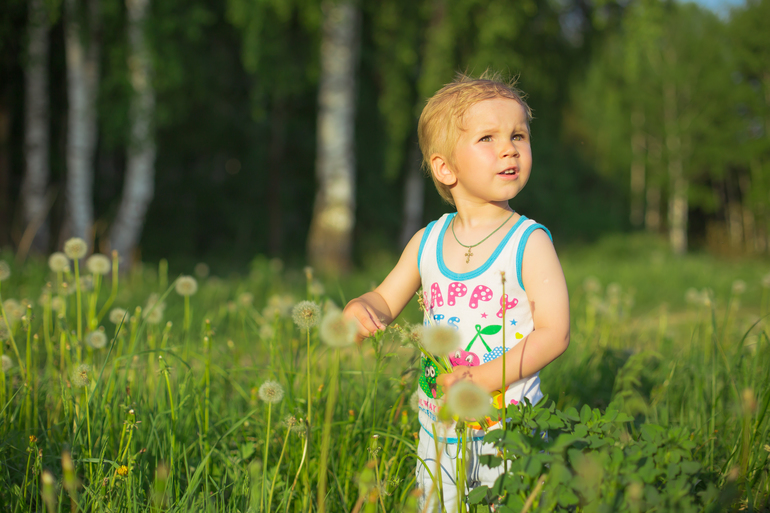 Съемка против солнца. Что вышло?