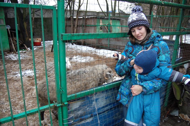 Первая поездка в мини-зоопарк