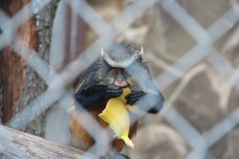 Экзотик парк. Поход с детьми строго ОБЯЗАТЕЛЕН!