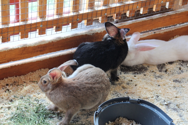 Экзотик парк. Поход с детьми строго ОБЯЗАТЕЛЕН!