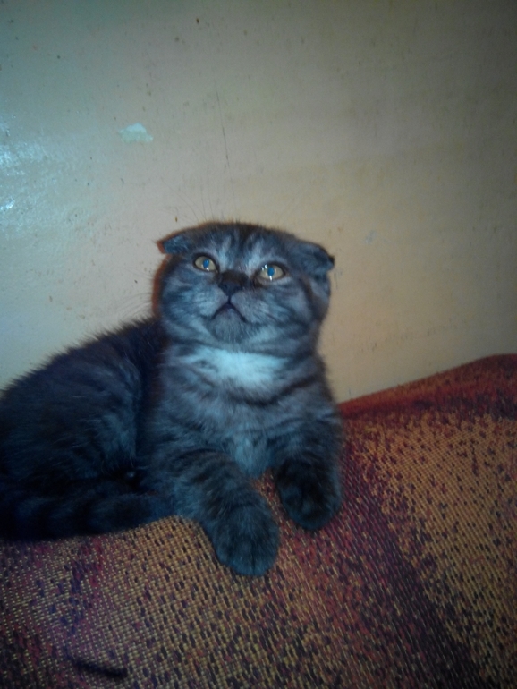 и мы растем) Тиффани!