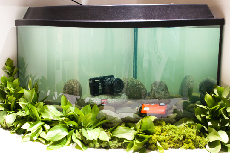 Фотовыставка в Крокусе