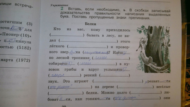 Задание