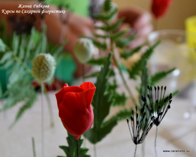 Курсы по сахарным цветам Жанны Рябковой