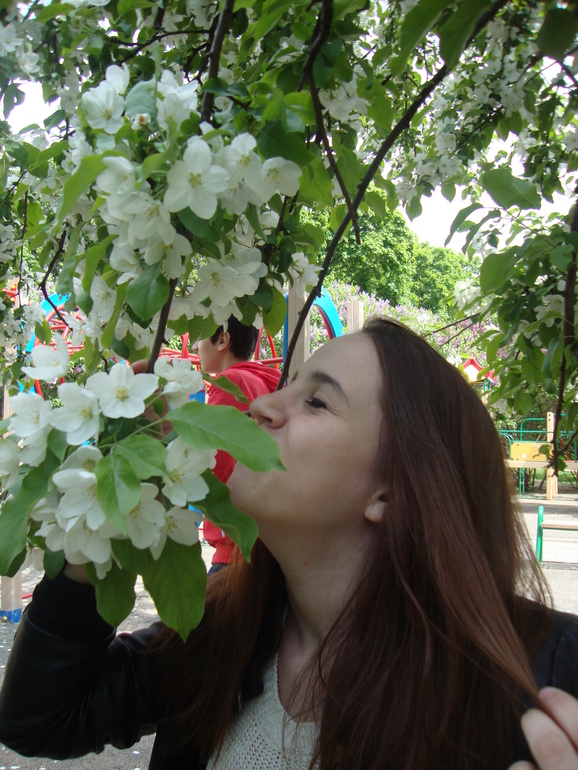 Мы сегодня, 11.05.14.
