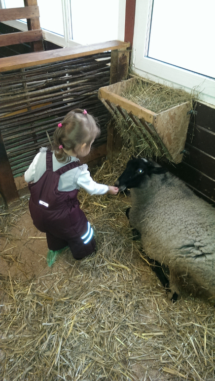 Краткие впечатления о развлечениях