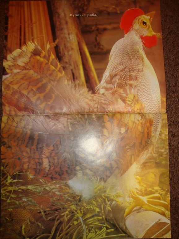 Мои детские книжечки