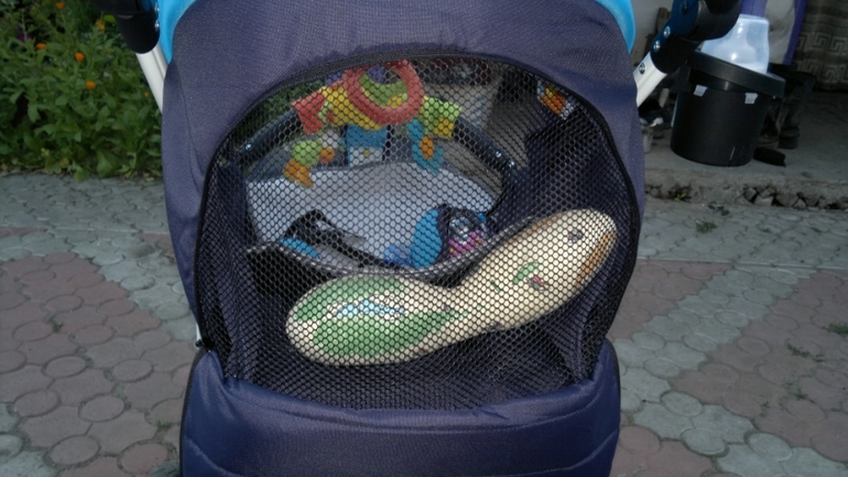 Прогулочная коляска Camarelo Eos 05