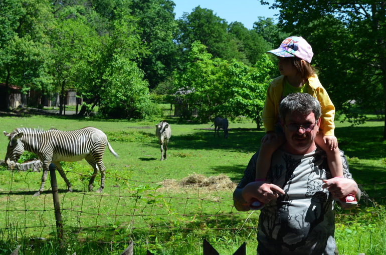 Bronx Zoo.