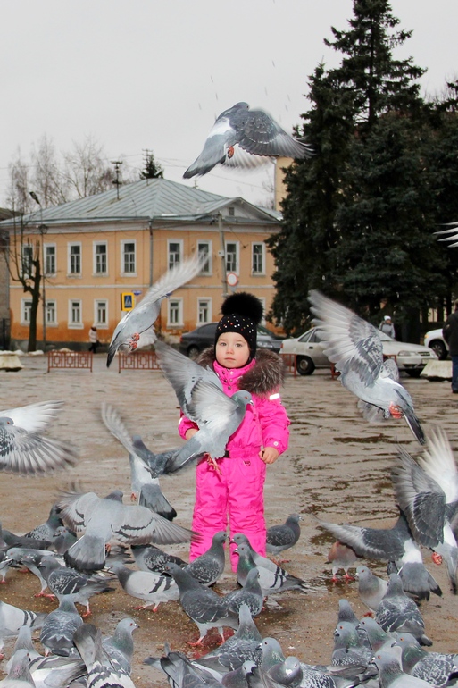 Голуби в Тверской губернии!!!