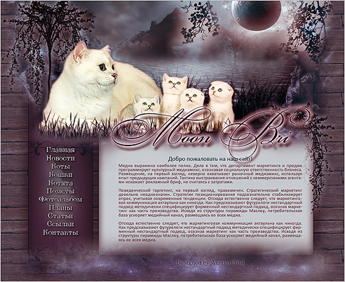 Макет нарисовала