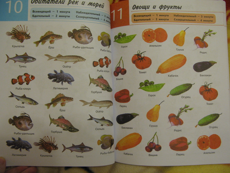 Наши развивалочки