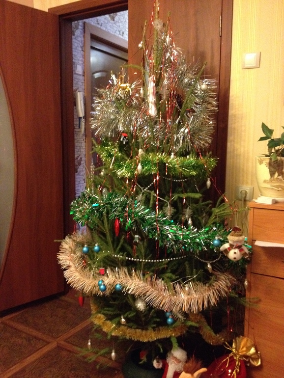 Рождественско-новогоднее путешествие