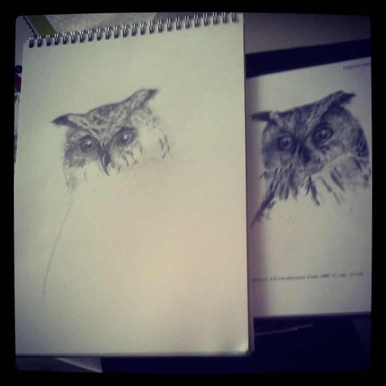 мои работы(продолжение)