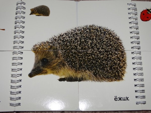 Книги по низкой цене в Май-шоп (живые фото)