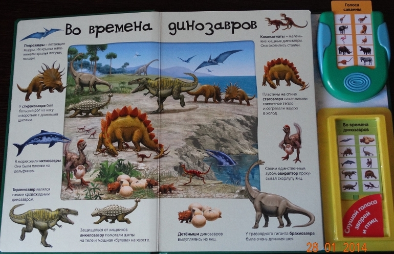 Книги по низкой цене в Май-шоп (живые фото)