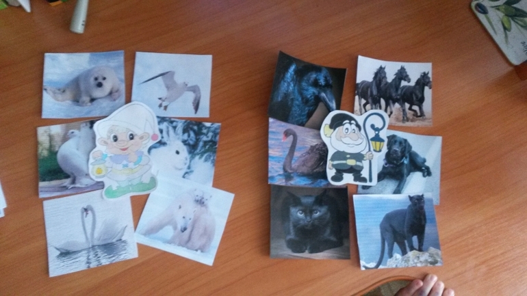 ТН "ЦВЕТА" 1,7