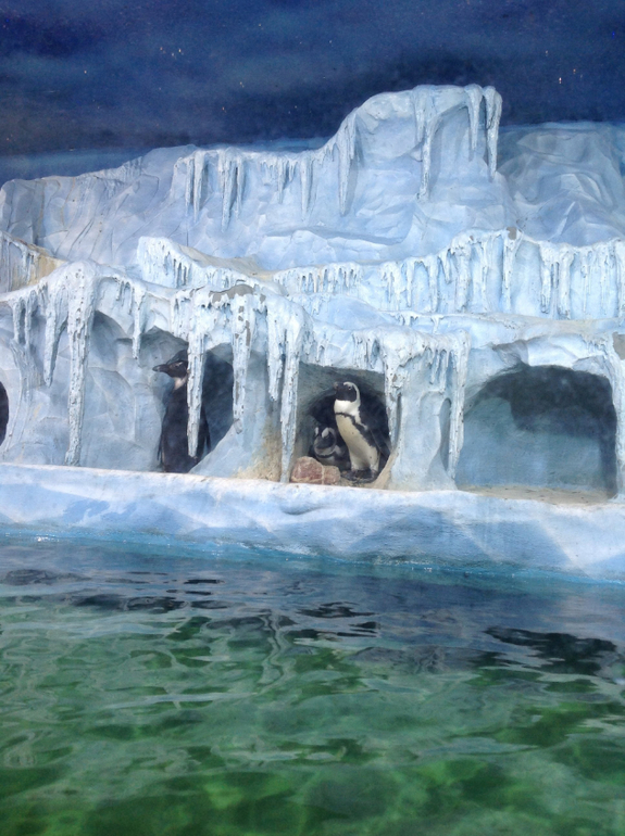 Океанариум в ТЦ Рио на Дмитровке