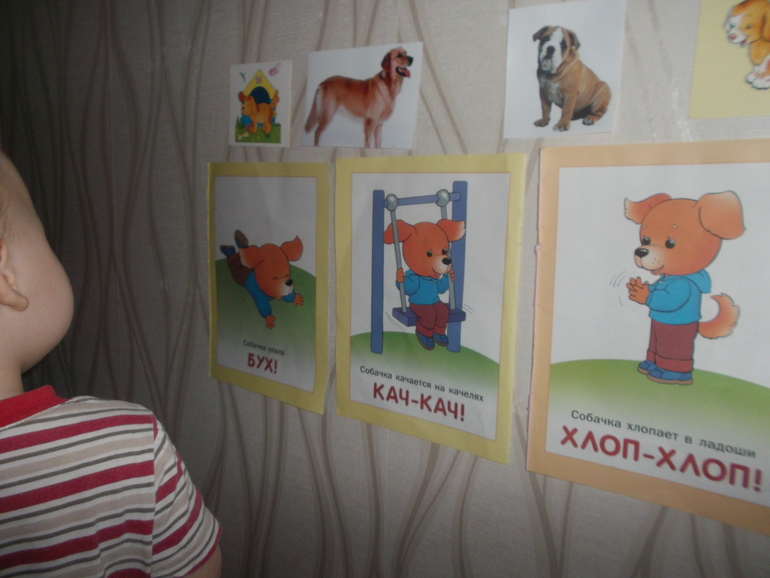 ТН Котенок и щенок. день 2.