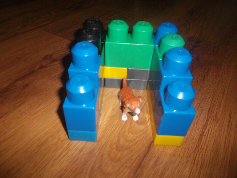 ТН Котенок и щенок. день 2.