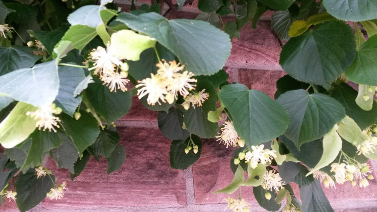 Для хорошего настроения:)