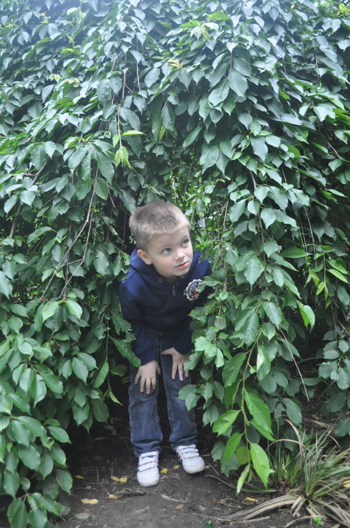 Гулялки по Германии