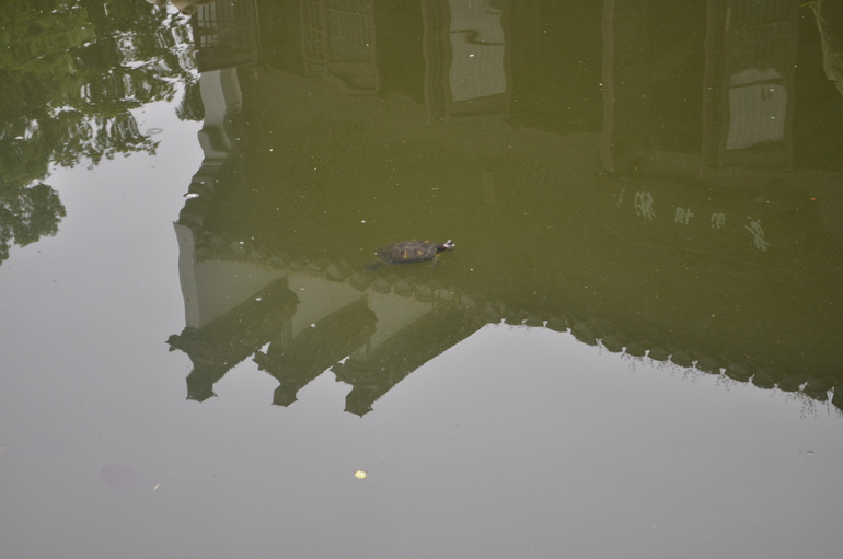 Гулялки по Германии