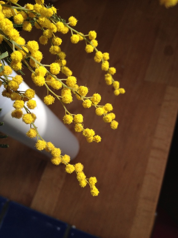 March 1, YELLOW